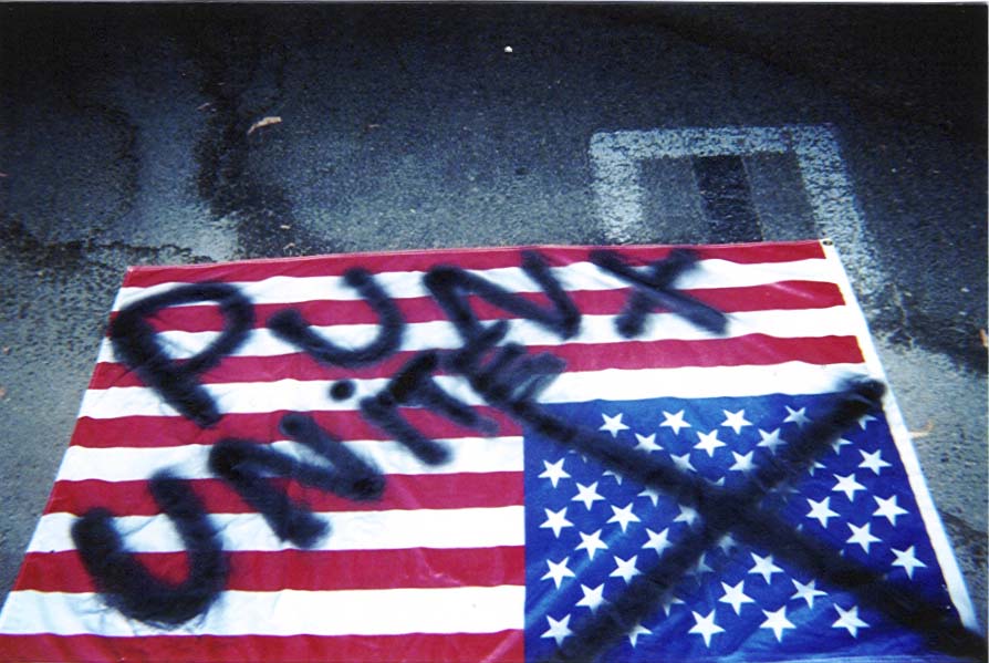 mike's flag